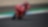 Shell y Ducati